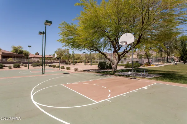 a view of a basket ball ground