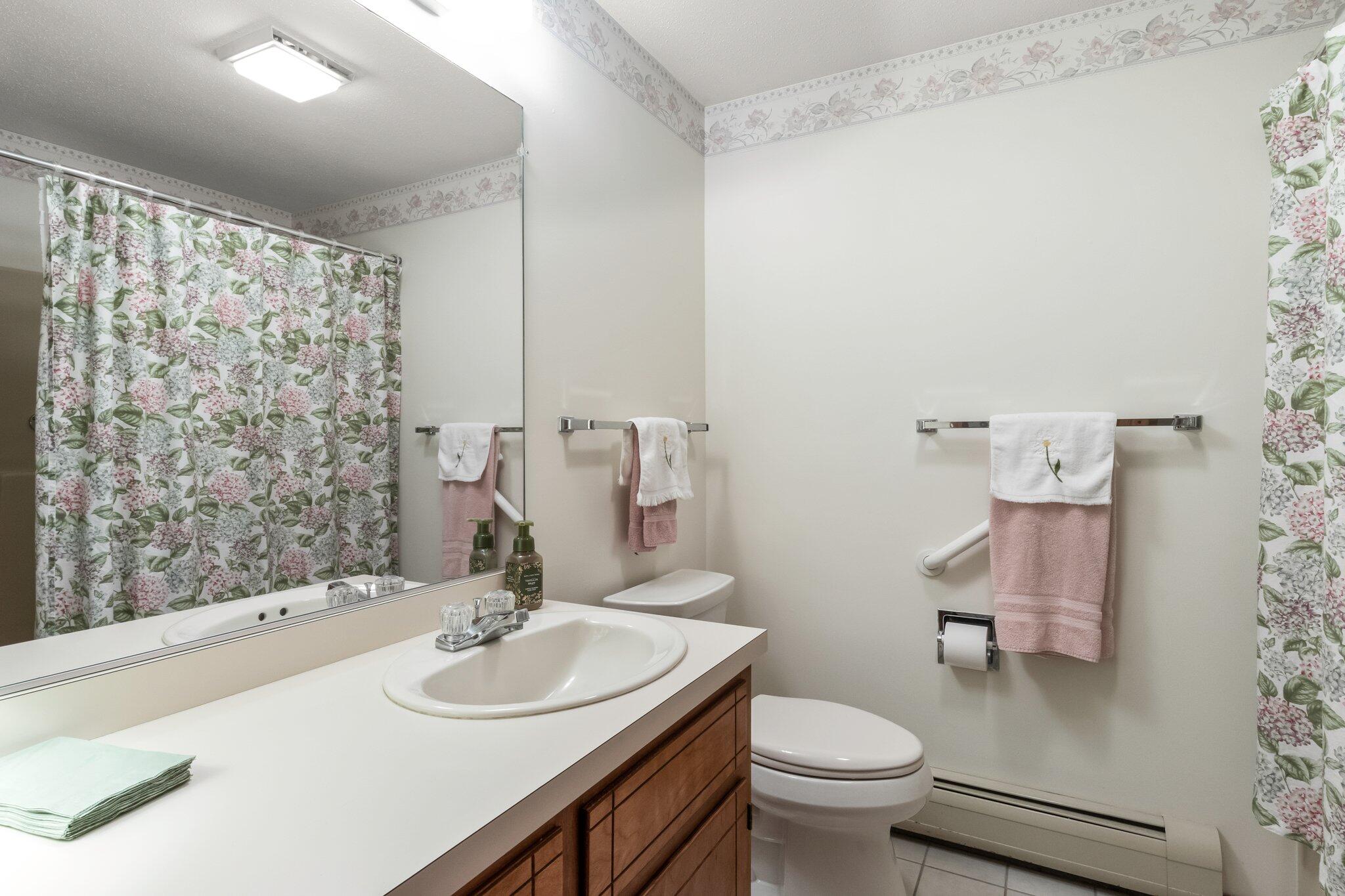 131 Seth Parker Road Centerville, MA 02632 - Photo 15 of 55 a bathroom with a sink toilet and a mirror