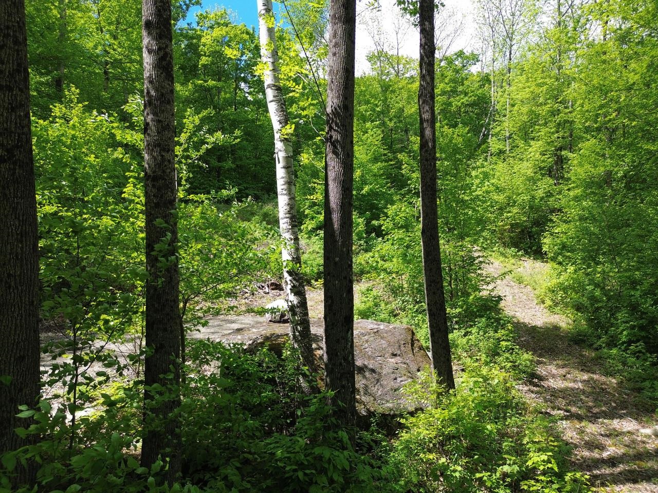 197 Sugar Ledge Road, Unit 4 Warren, VT 05674 - Photo 4 of 17