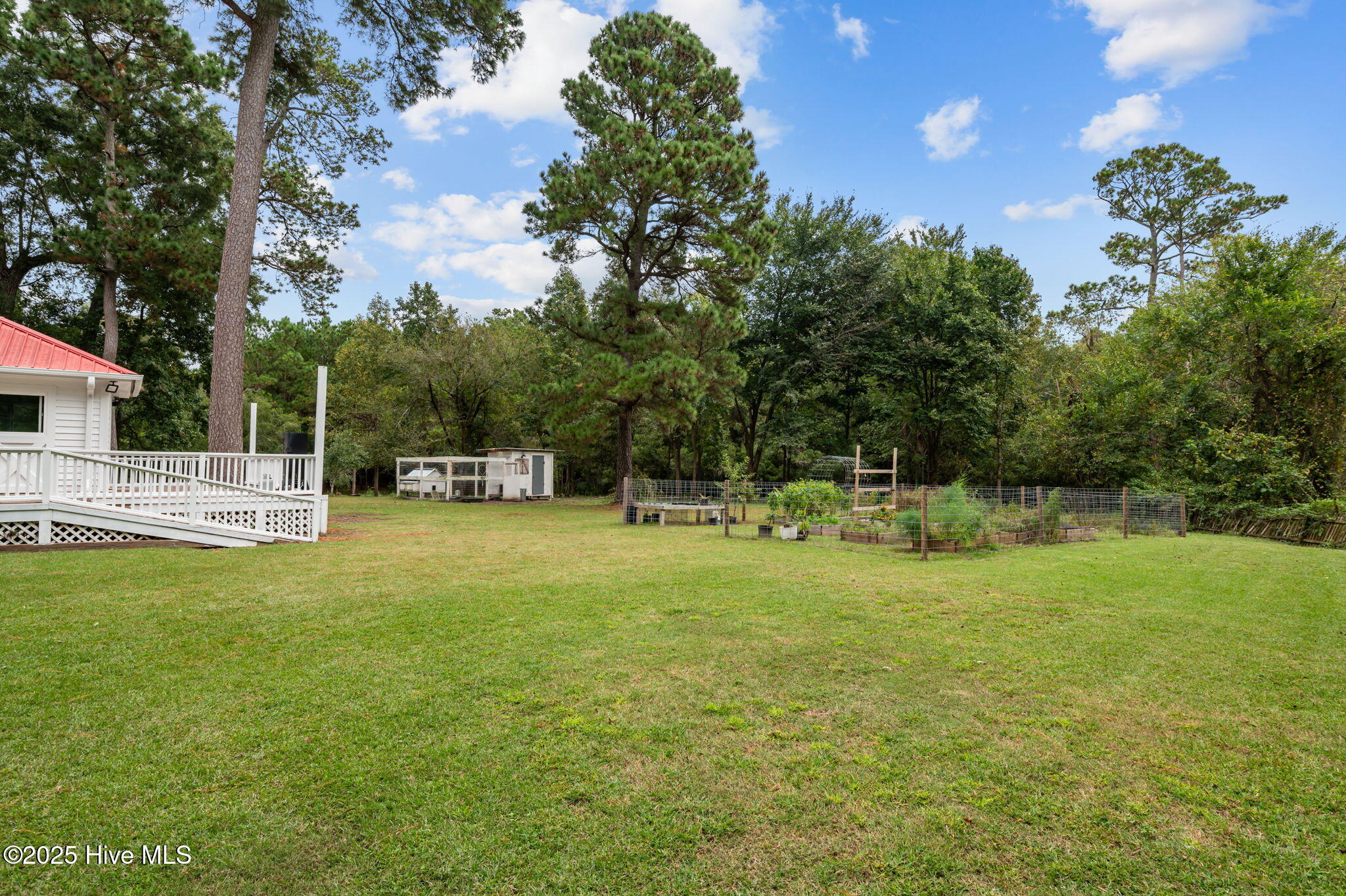 637 Hardison Road Bath, NC 27808 - Photo 34 of 48 2 Yard and Coop