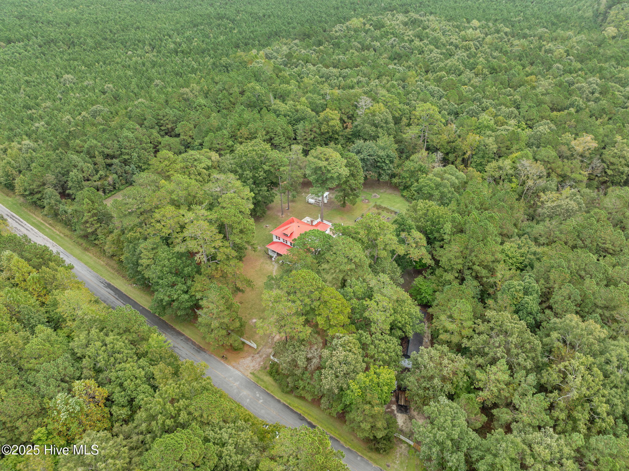 637 Hardison Road Bath, NC 27808 - Photo 45 of 48 2 High Over hs Shop