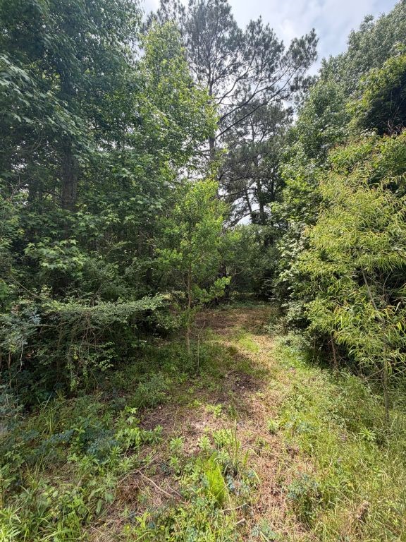 371 Fm 1872 Corrigan, TX 75939 - Photo 47 of 50