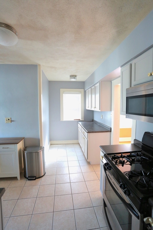 38 Semont Road, Unit 3 Boston, MA 02124 - Photo 7 of 23