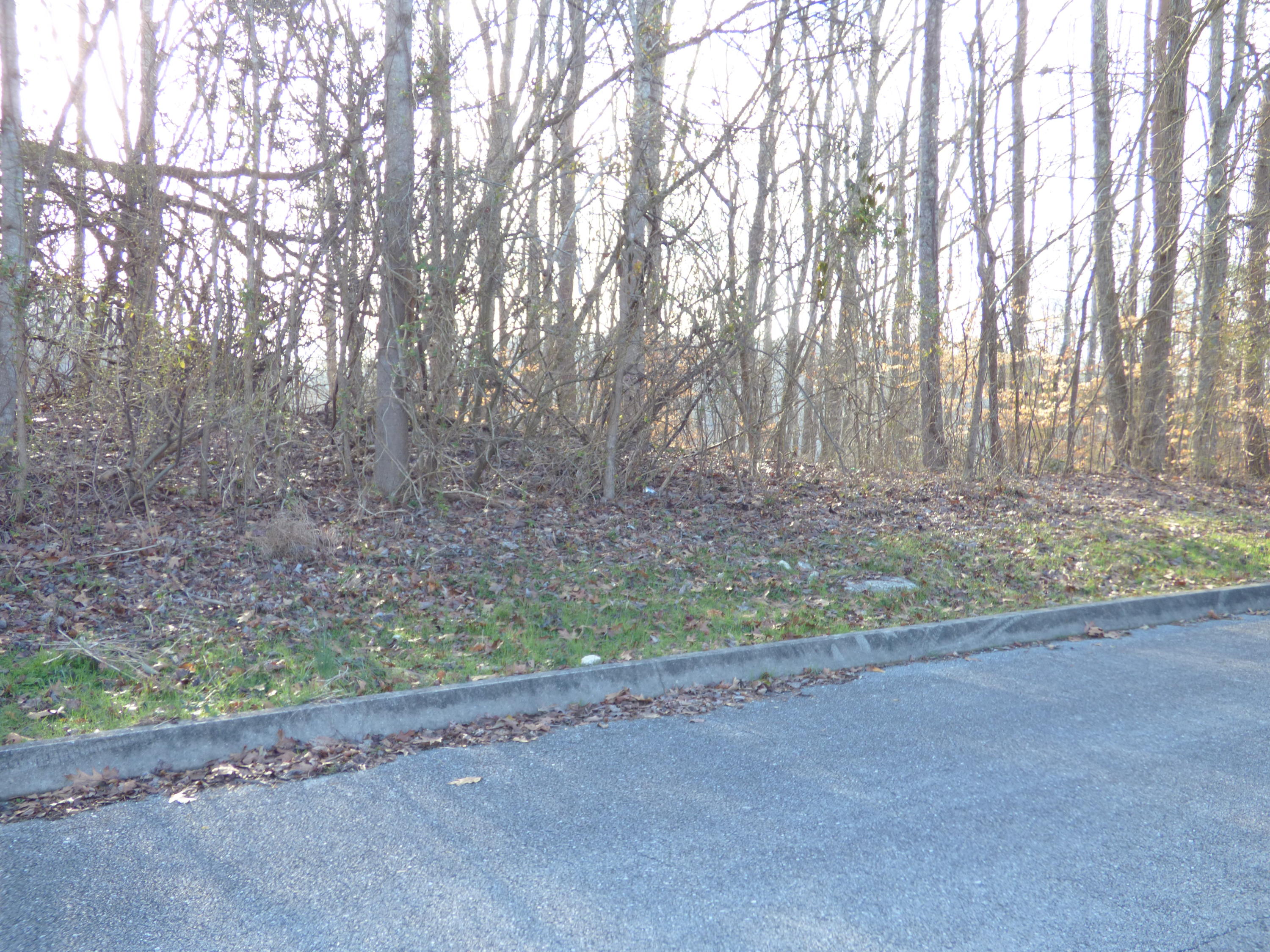 Sheerwater Road Kingston, TN 37763 - Photo 3 of 7 P1060668