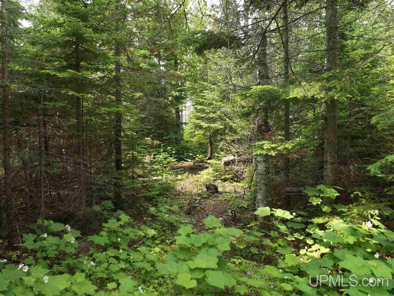 Seven Mile Point Road, Unit 10 Allouez, MI 49805 - Photo 11 of 20