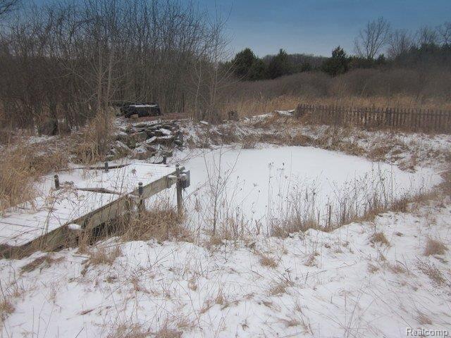 395 Harmon Road Howell, MI 48843 - Photo 2 of 19 2 POND AND DOCK.JPG