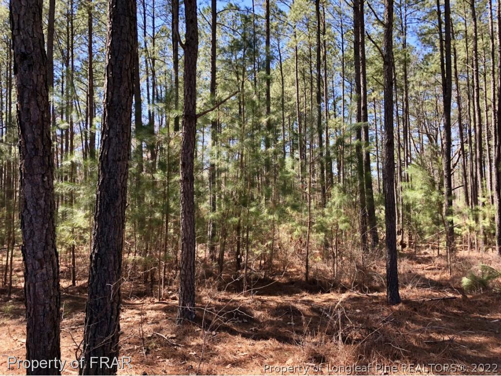3222 Lakebay Road Vass, NC 28394 - Photo 12 of 13 Gallery Image 12
