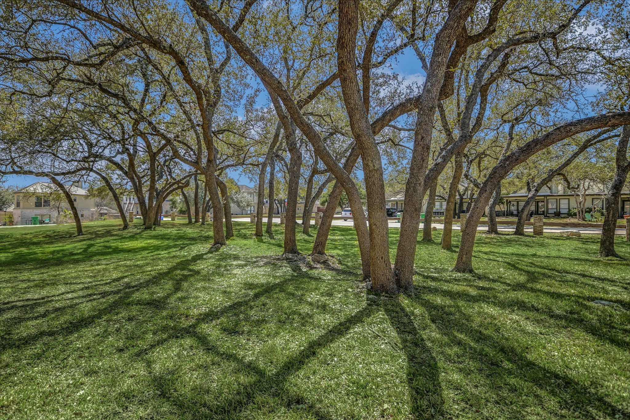 105 Crescent Bluff Austin, TX 78734 - Photo 28 of 28 a huge green field with lots of trees
