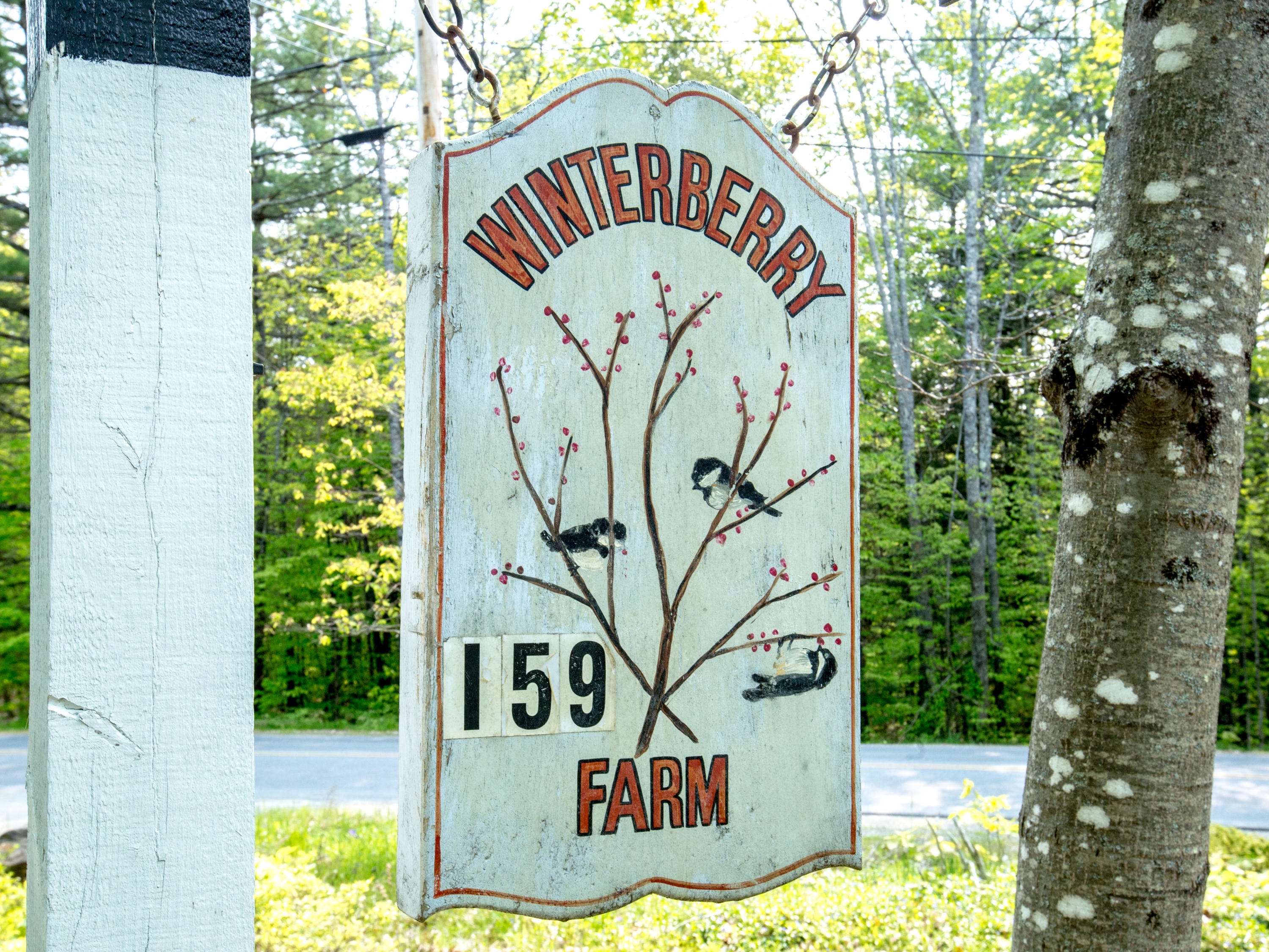 159 Hanson Road South China, ME 04358 - Photo 13 of 32 EXT_0105