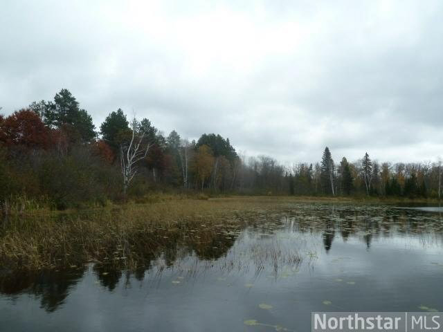 2184 West 5 Point Lake Road Northwest Hackensack, MN 56452 - Photo 4 of 12 Gallery Image 4