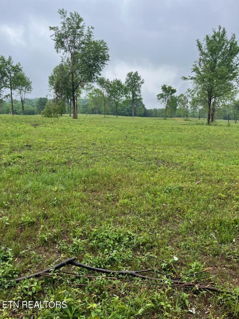 Stone Mill Road Jacksboro, TN 37757 - Photo 2 of 5 IMG956407