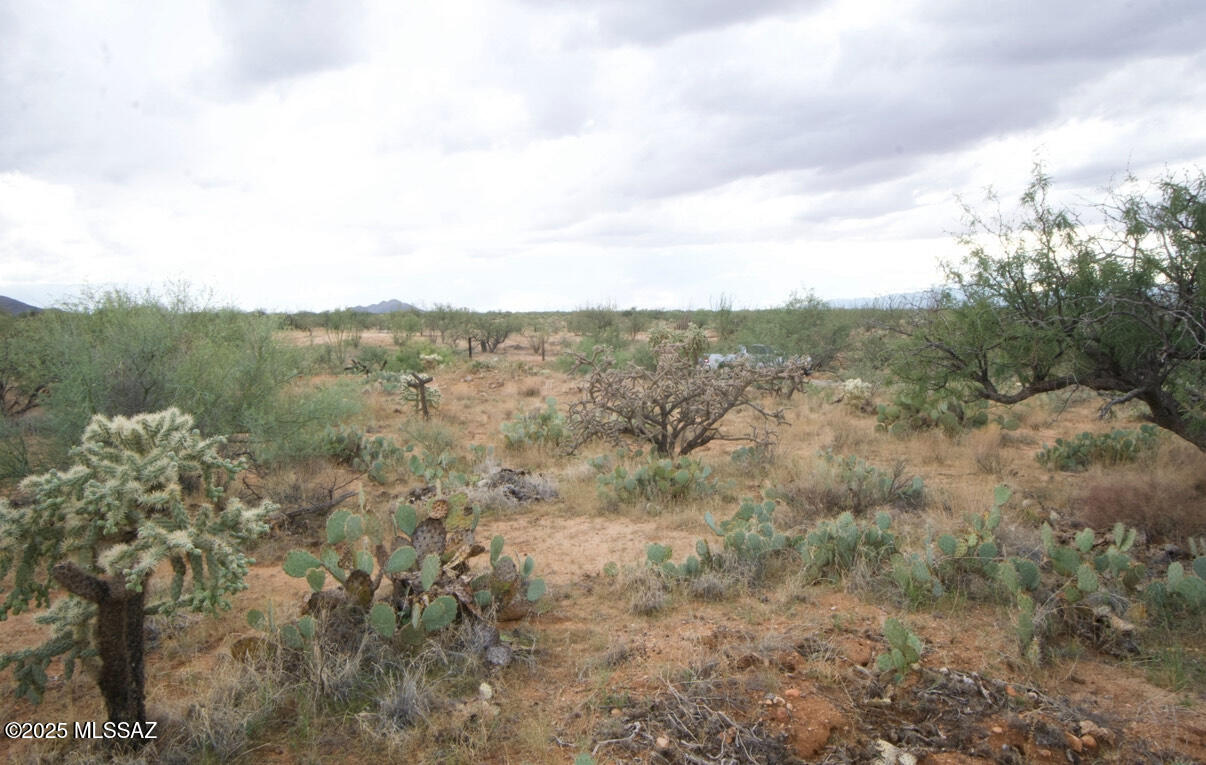 14536 West Diamond Bell Ranch Road, Unit 406 Tucson, AZ 85736 - Photo 8 of 16