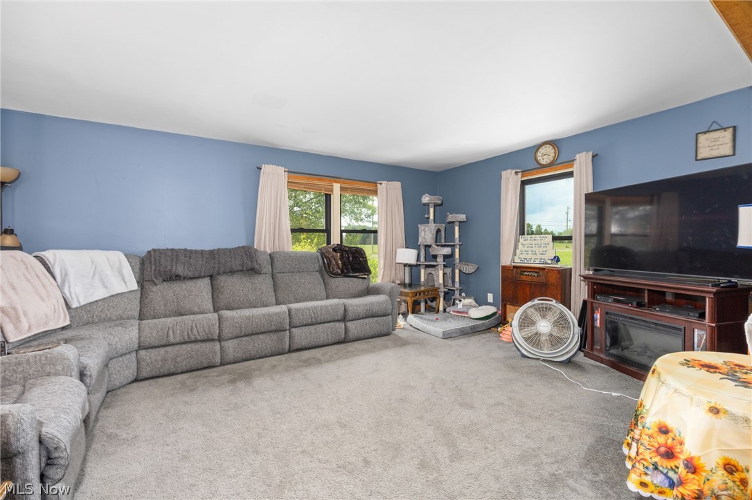 12331 Baird Road Oberlin, OH 44074 - Photo 6 of 25