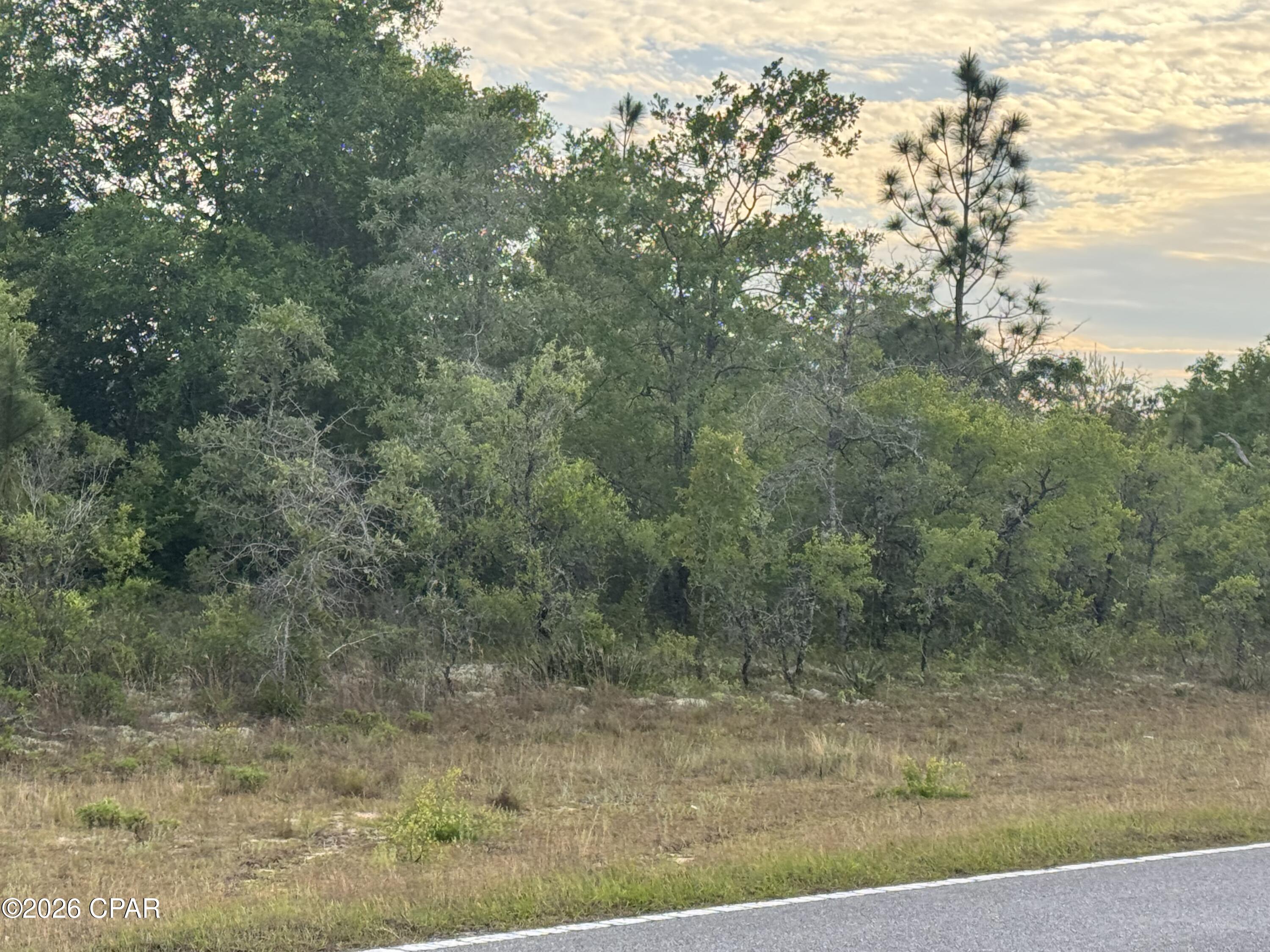 0 June Court Chipley, FL 32428 - Photo 4 of 4