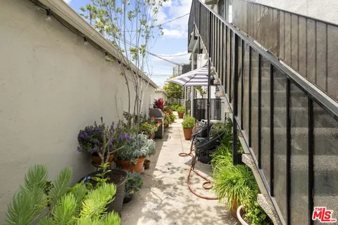 a view of a flower in a garden