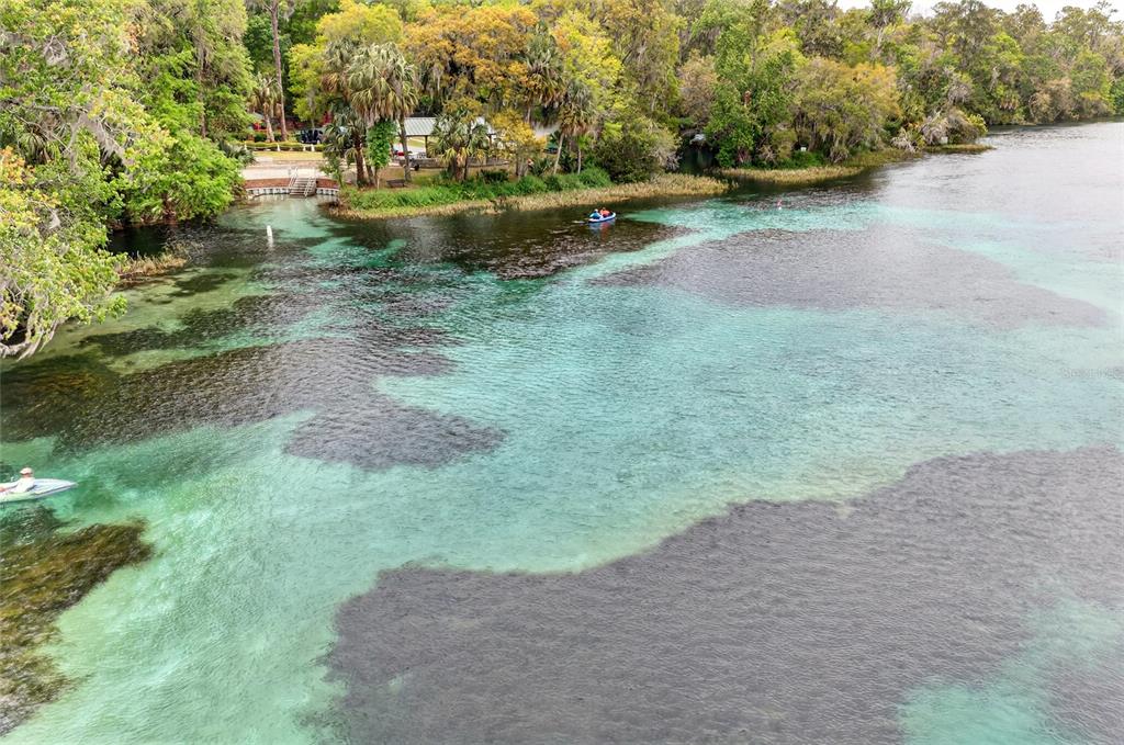 18848 Southwest 93rd Loop Dunnellon, FL 34432 - Photo 50 of 54