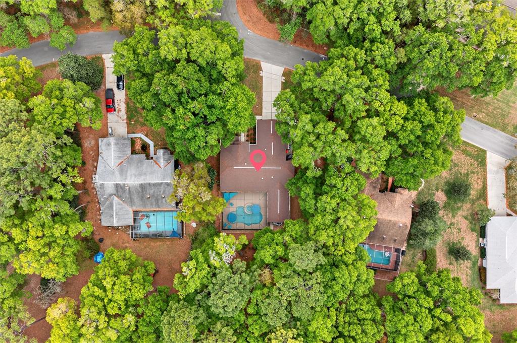 18848 Southwest 93rd Loop Dunnellon, FL 34432 - Photo 5 of 54