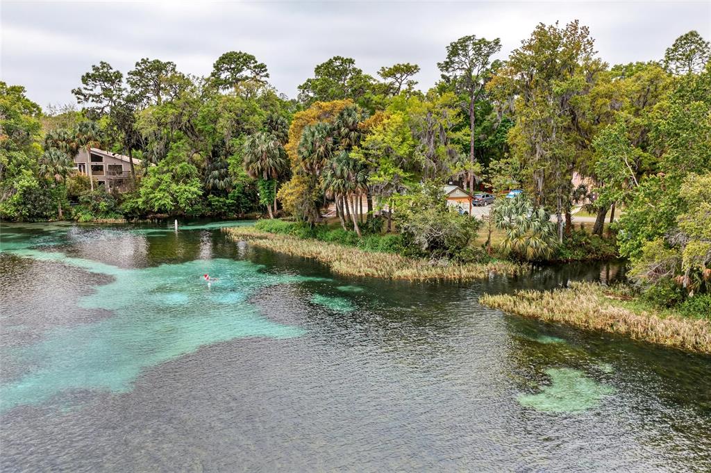 18848 Southwest 93rd Loop Dunnellon, FL 34432 - Photo 51 of 54