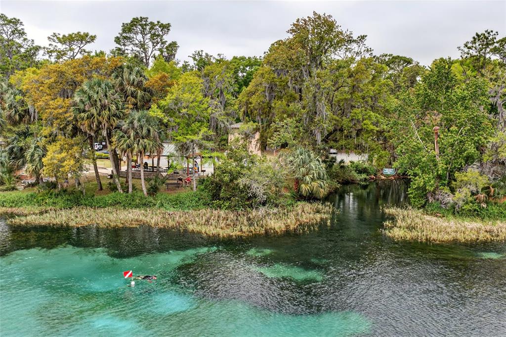 18848 Southwest 93rd Loop Dunnellon, FL 34432 - Photo 52 of 54