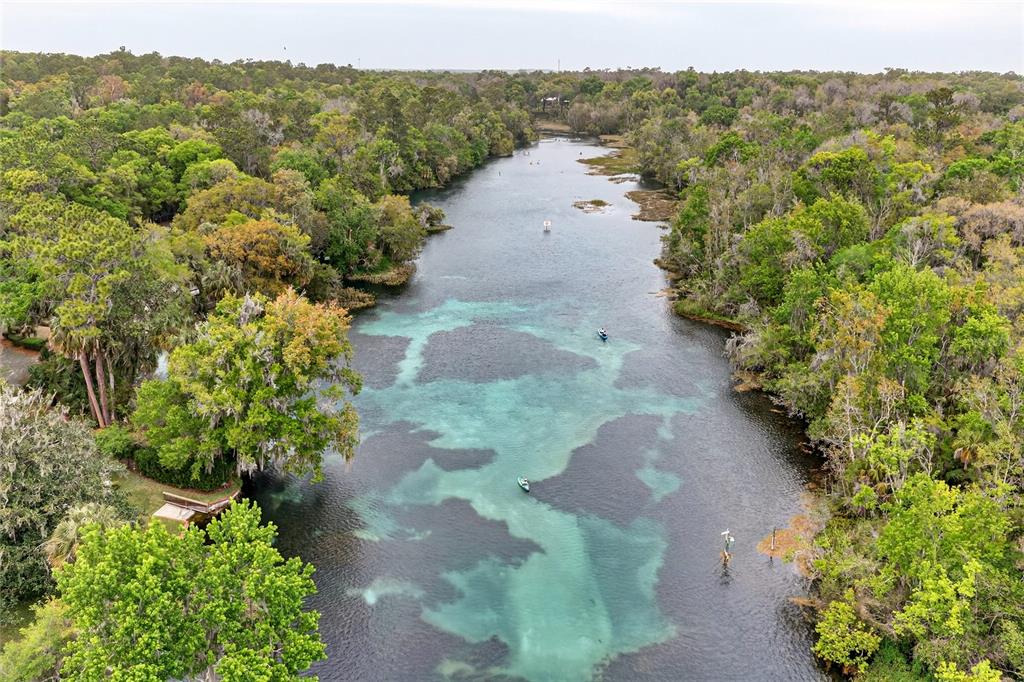 18848 Southwest 93rd Loop Dunnellon, FL 34432 - Photo 54 of 54