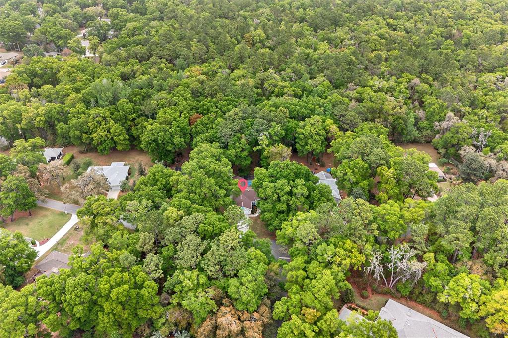 18848 Southwest 93rd Loop Dunnellon, FL 34432 - Photo 6 of 54