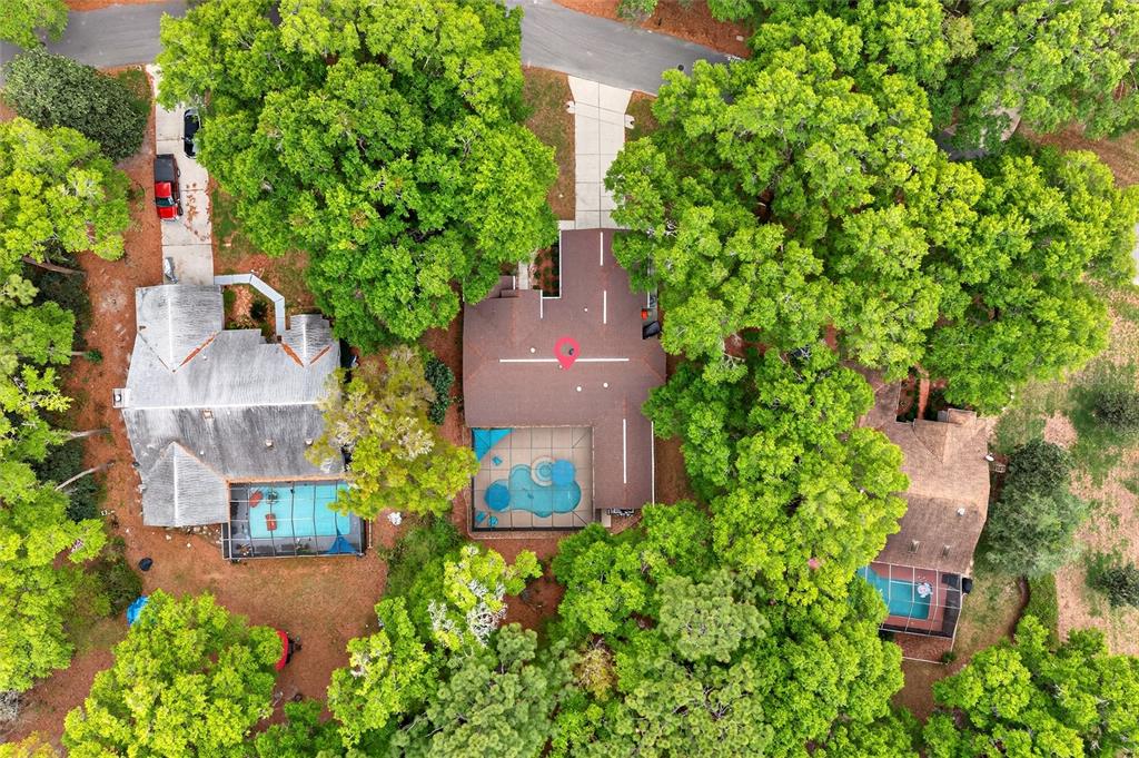 18848 Southwest 93rd Loop Dunnellon, FL 34432 - Photo 7 of 54