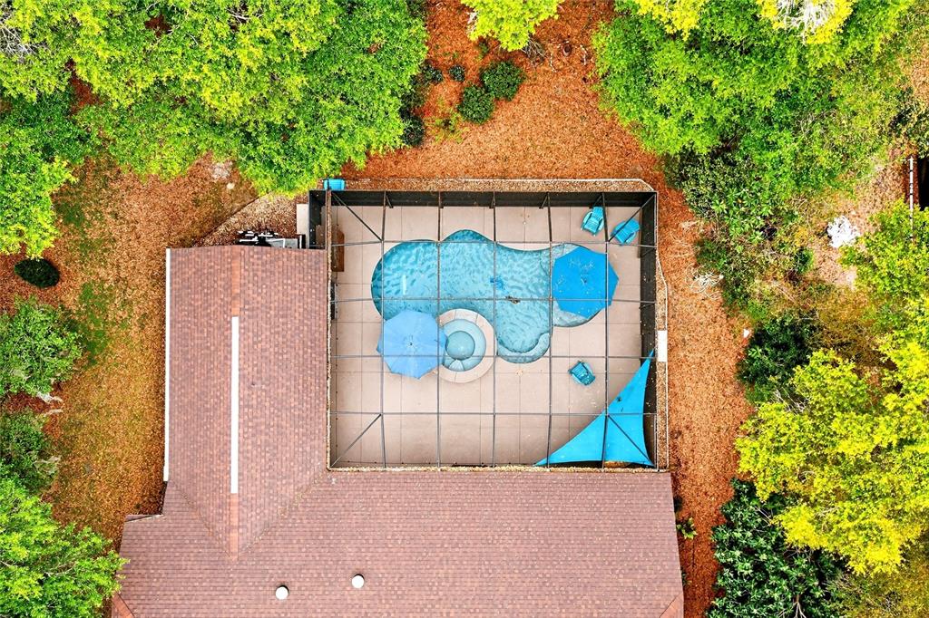 18848 Southwest 93rd Loop Dunnellon, FL 34432 - Photo 8 of 54