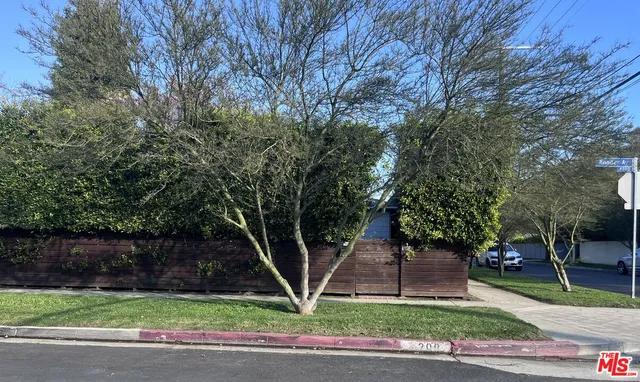 a view of a park with large trees