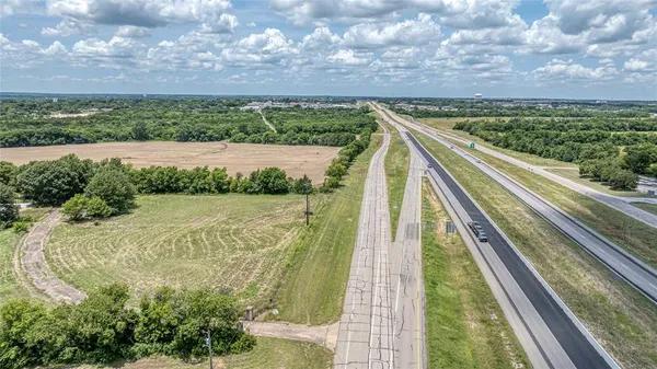 a view of a yard with plants and a bench under large trees