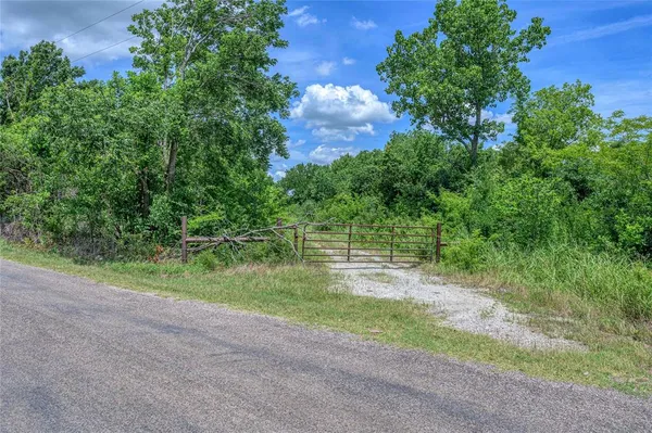 a view of a plants with a pathway