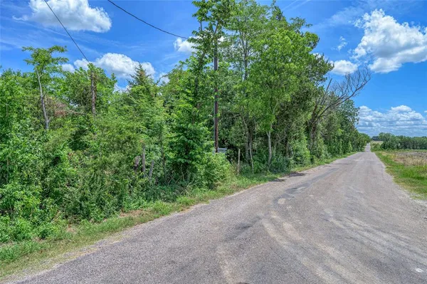 a view of a garden with plants