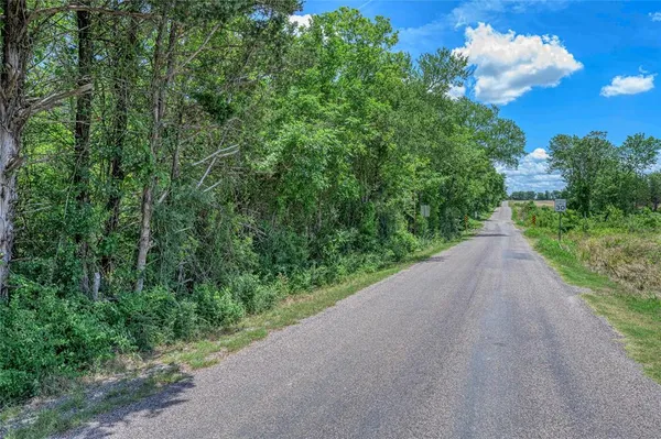 a view of a pathway of a park