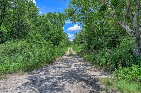 a view of a big yard with large trees