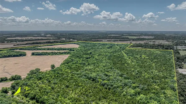 a view of a garden with an outdoor space
