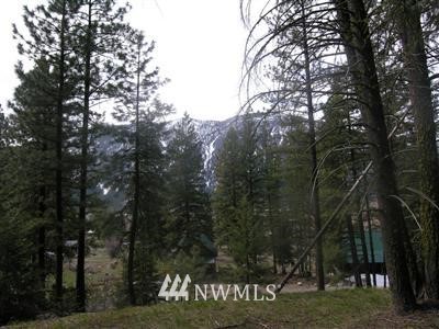 500 Homestead Road Winthrop, WA 98862 - Photo 1 of 1
