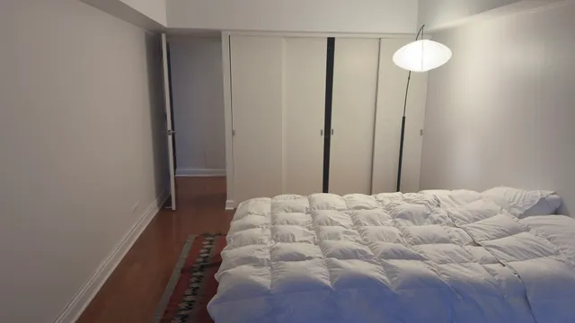 $2,800 | 175 East Delaware Place, Unit 4522, Chicago, IL 60611