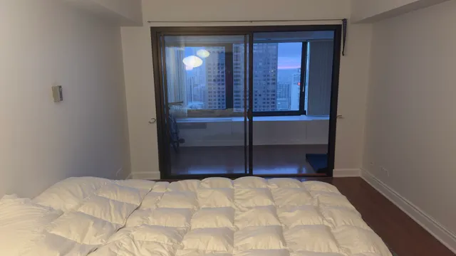 $2,800 | 175 East Delaware Place, Unit 4522, Chicago, IL 60611