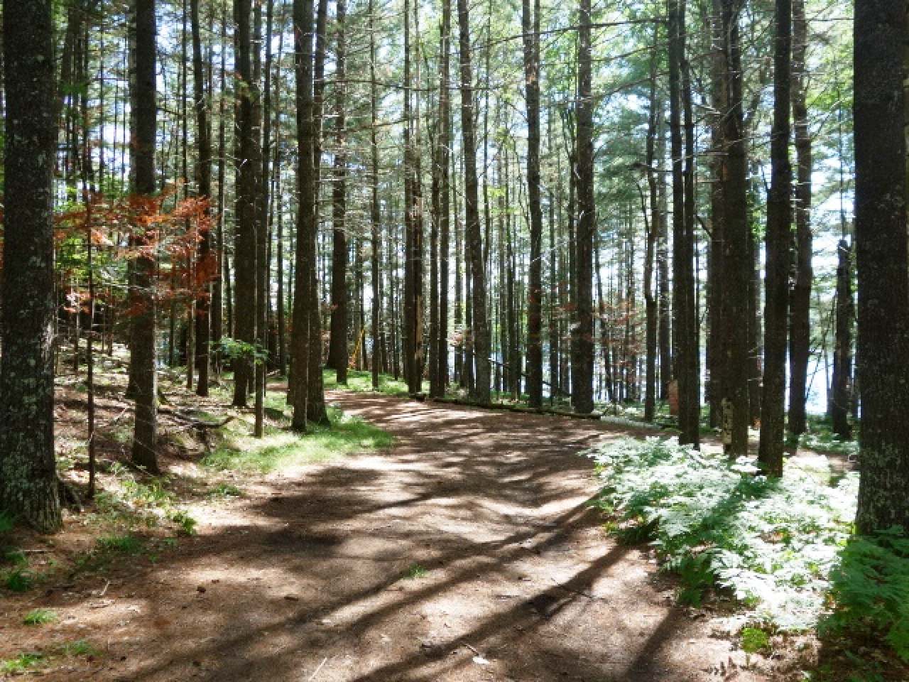 Lot 2 Bassett Road Minocqua, WI 54548 - Photo 10 of 15 Gallery Image 10