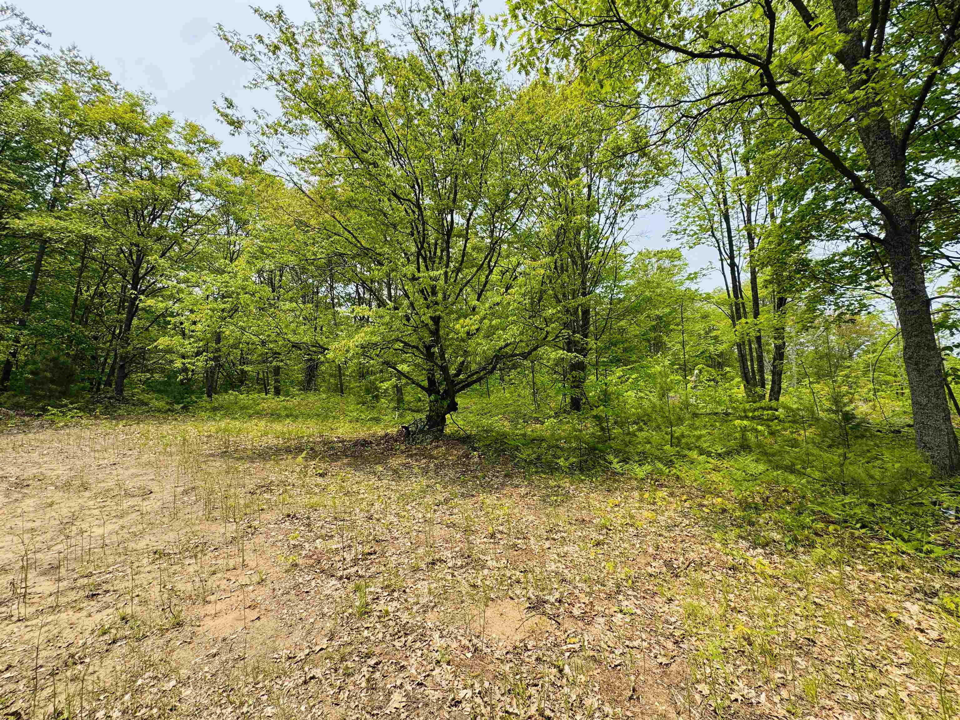 11711 22 3/4 Road Manton, MI 49663 - Photo 14 of 42