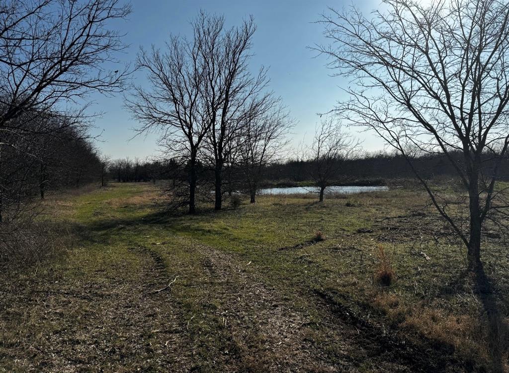 586 Pleasant Home Road Sherman, TX 75092 - Photo 13 of 25 a view of yard with trees