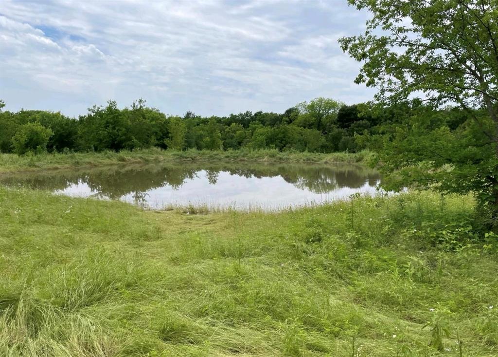 586 Pleasant Home Road Sherman, TX 75092 - Photo 14 of 25 a view of a lake with houses in the back