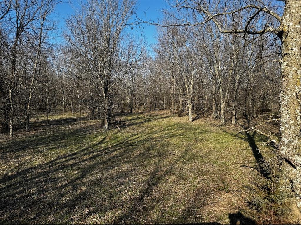 586 Pleasant Home Road Sherman, TX 75092 - Photo 15 of 25 a backyard of a house with lots of green space