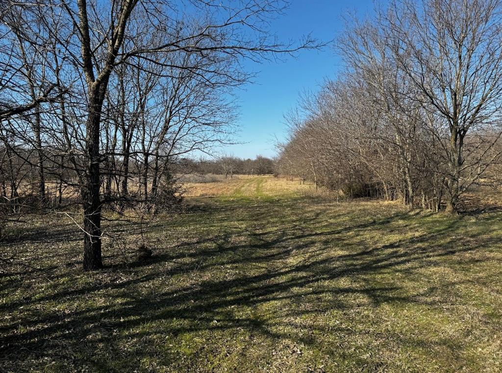 586 Pleasant Home Road Sherman, TX 75092 - Photo 16 of 25 a view of a yard next to a building