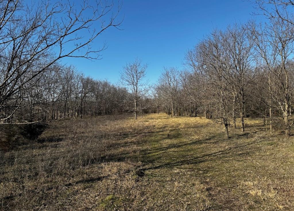 586 Pleasant Home Road Sherman, TX 75092 - Photo 17 of 25 a view of dirt yard