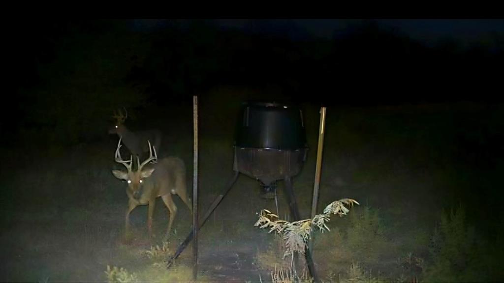 586 Pleasant Home Road Sherman, TX 75092 - Photo 7 of 25 a close view of water heater room