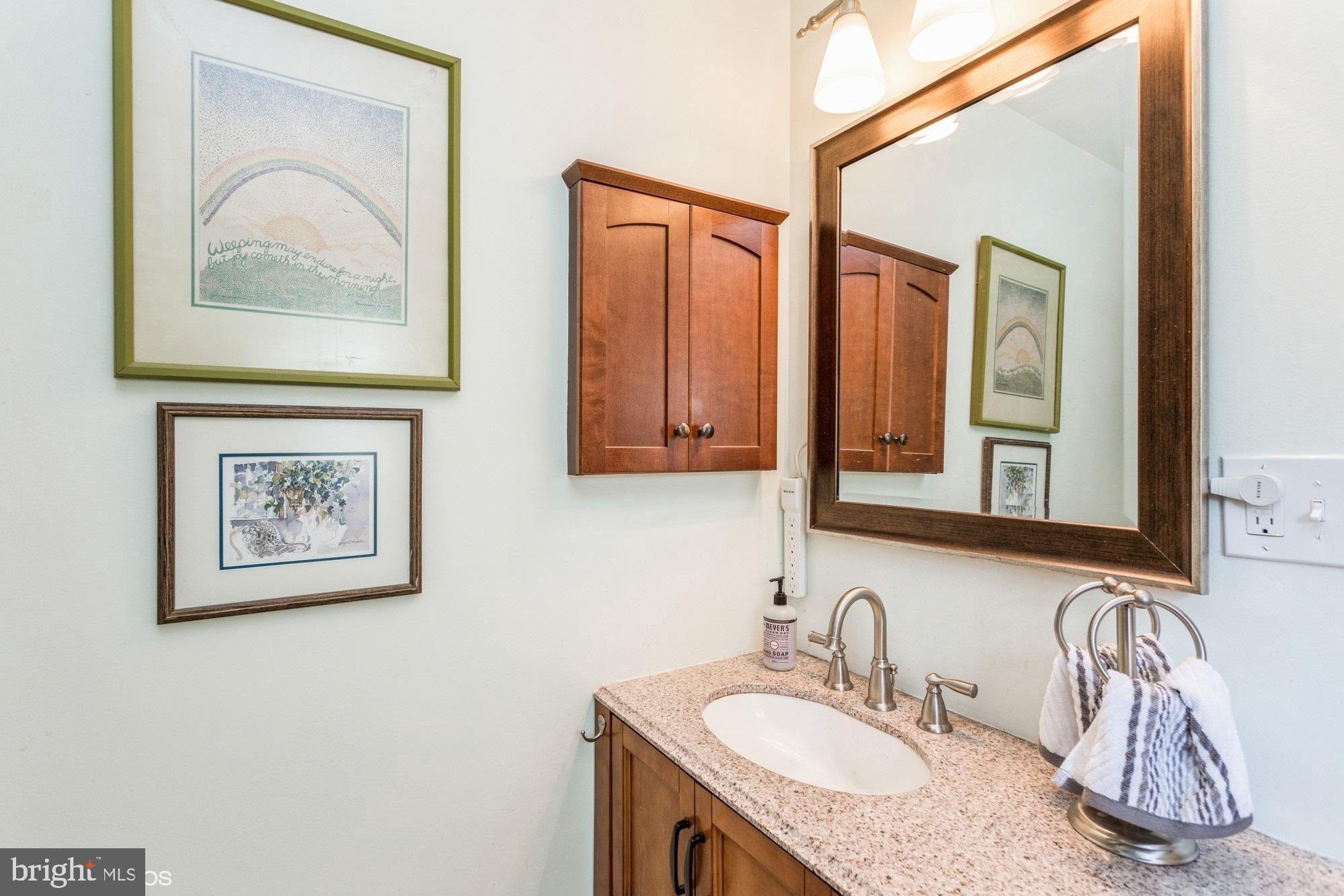 6613 Red Jacket Road Springfield, VA 22152 - Photo 22 of 40 Updated vanity in master bath