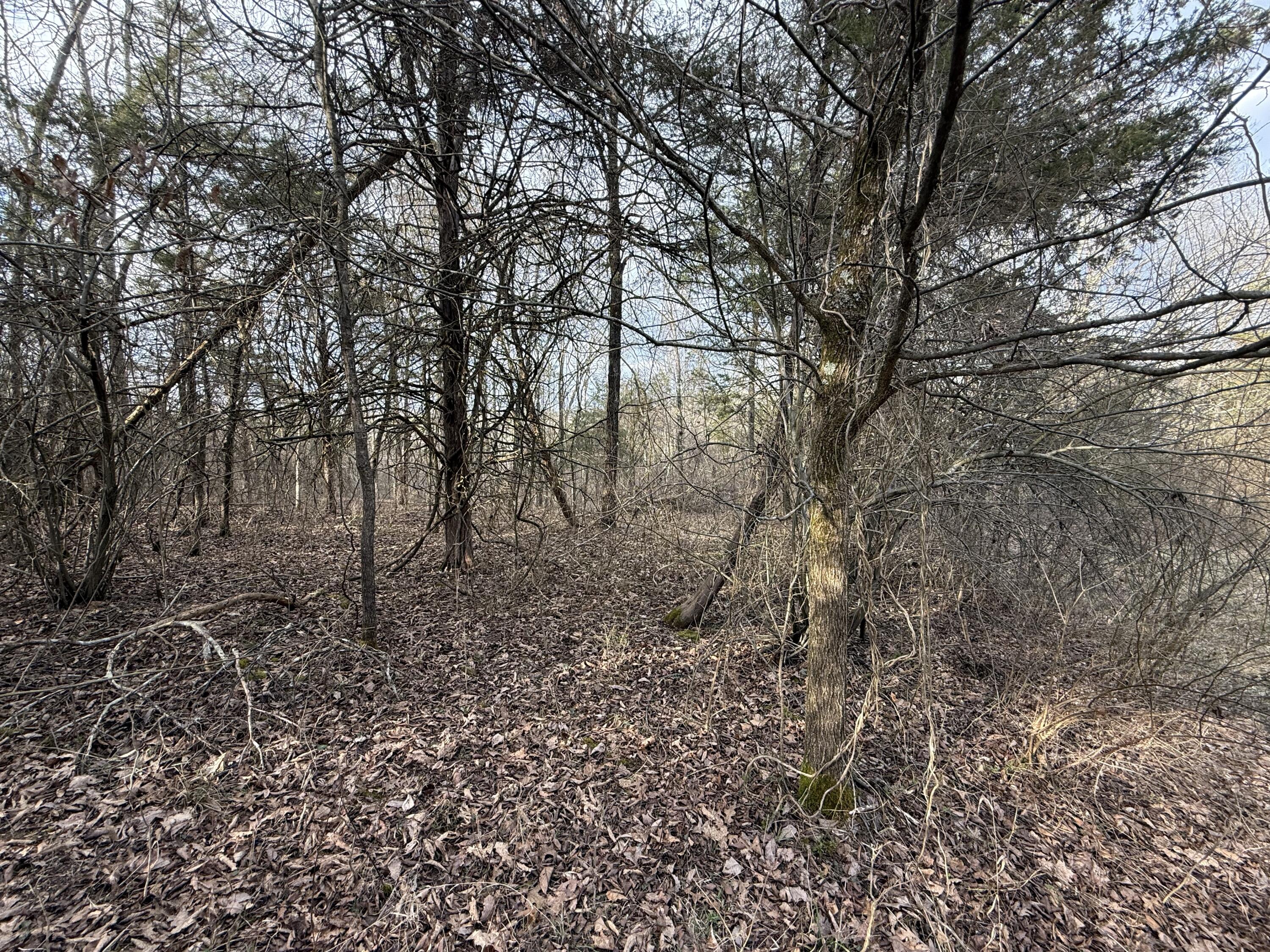 2501 Crittenden Mt Zion Road Dry Ridge, KY 41035 - Photo 8 of 19 Gallery Image 8