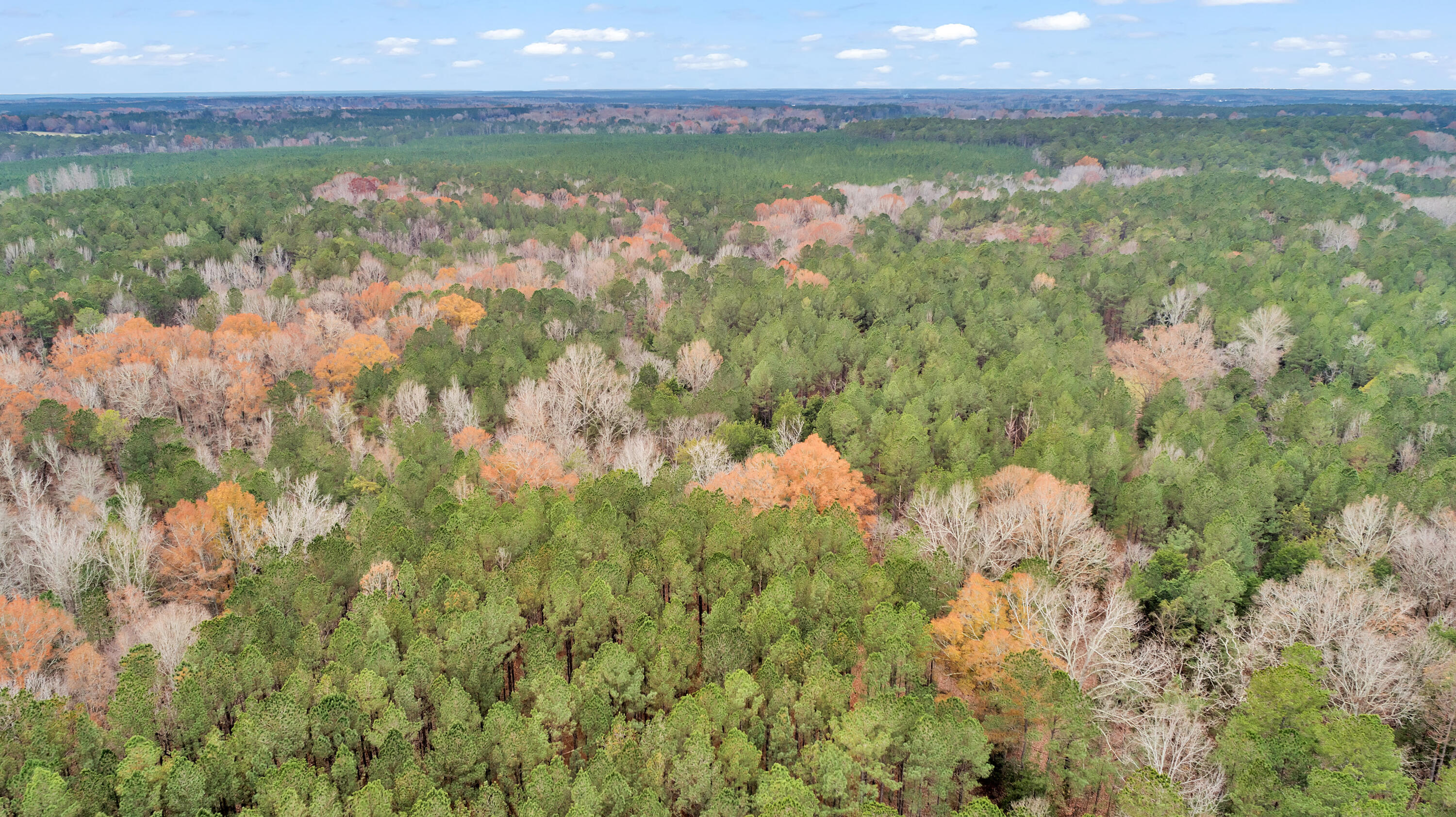 Lot 1 Saggus Road Washington, GA 30673 - Photo 18 of 40 Saggus Rd land 121-007A, 200ft View, Dro
