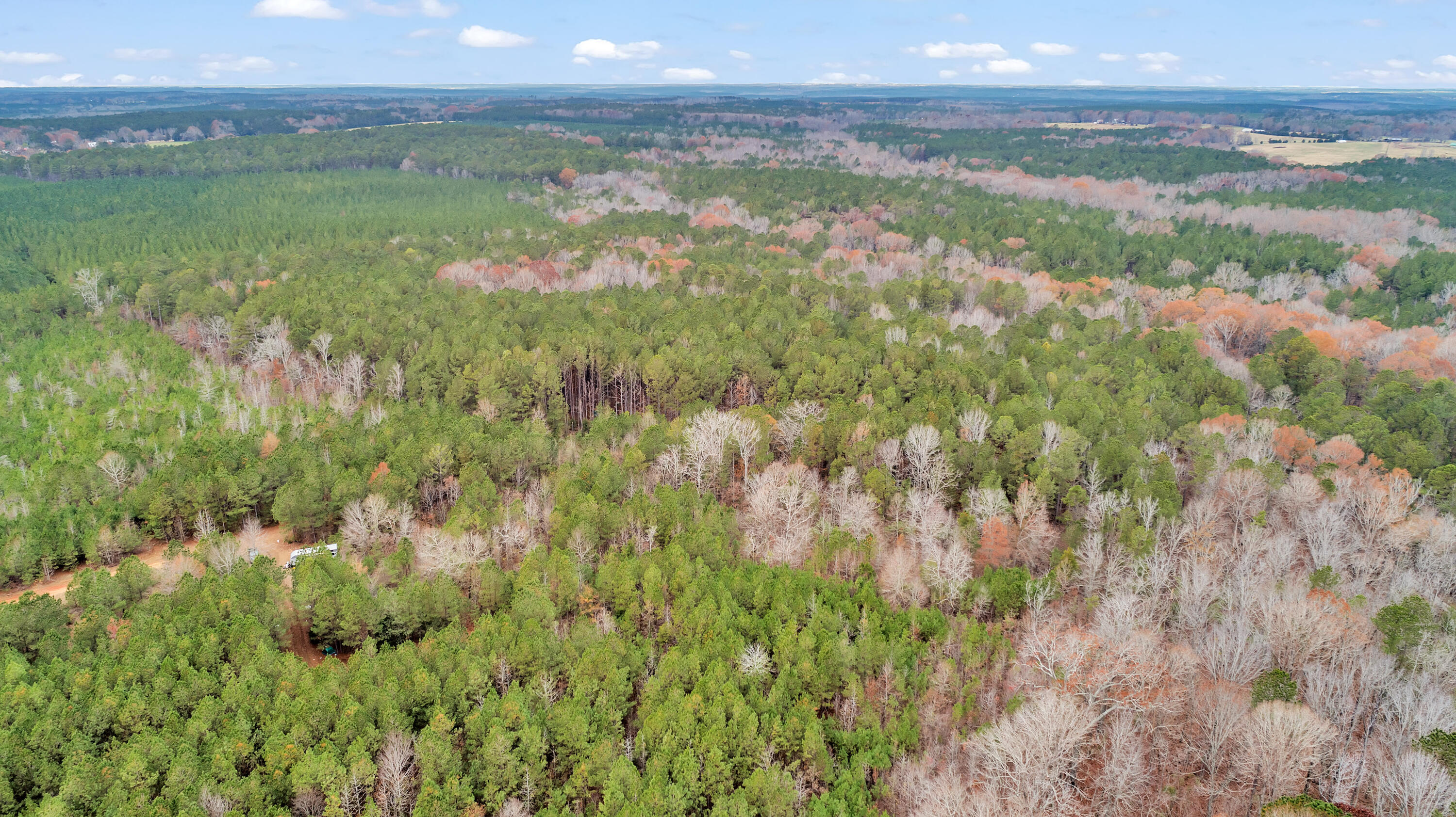 Lot 1 Saggus Road Washington, GA 30673 - Photo 29 of 40 Saggus Rd land 121-007A, 400ft View, Dro