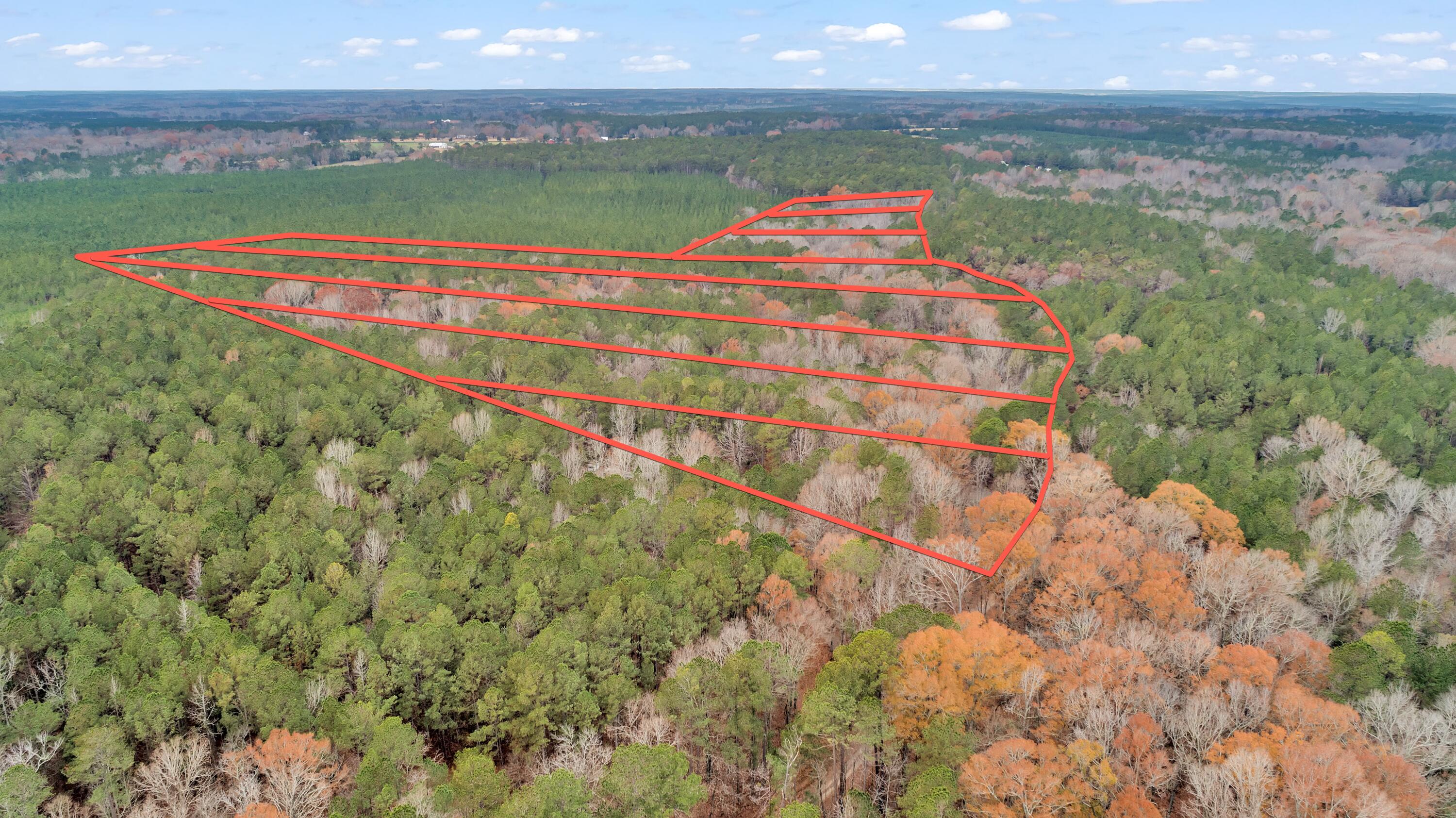Lot 1 Saggus Road Washington, GA 30673 - Photo 39 of 40 Saggus Rd land 121-007A, 400ft View, Dro